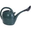 Picture of Plastic Watering Can Rose Only
