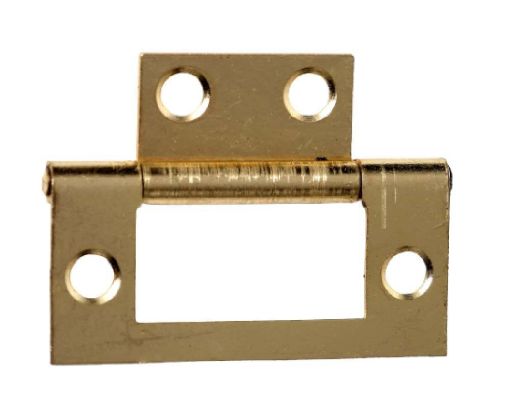 Picture of Phoenix 50mm EB Flush Hinge (Pr)