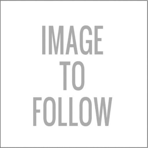 Picture of Basta Brass Indicator Bolt