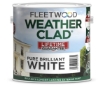 Picture of Fleetwood 2.5L Weatherclad Brilliant White