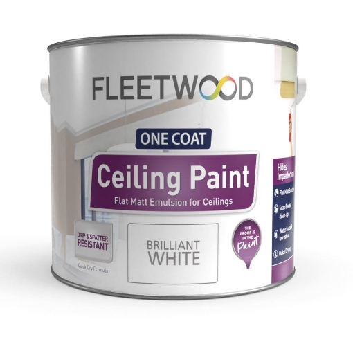Picture of Fleetwood 2.5L Ceiling PaInt Brilliant White