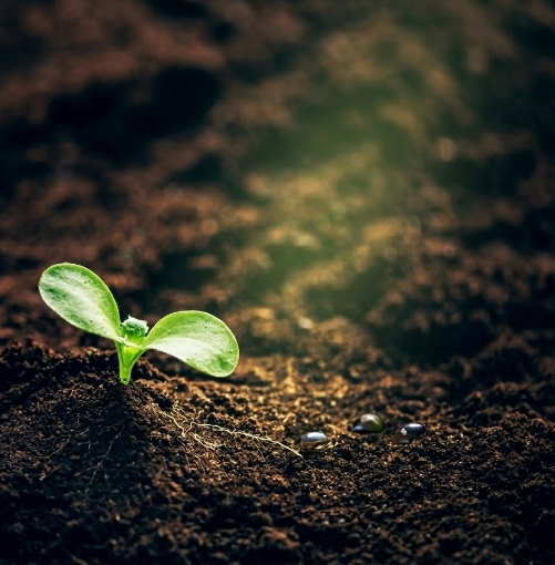 Core Topsoil